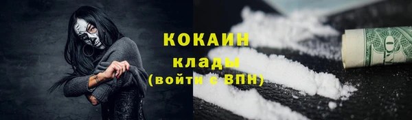 прущие грибы Киреевск