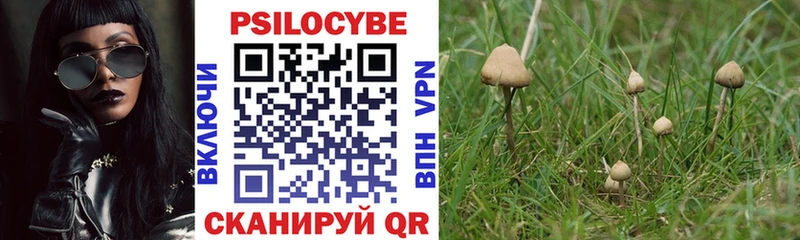 купить наркоту  Сольцы  MEGA ссылки  Галлюциногенные грибы мухоморы 